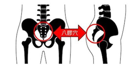 背穴|背痛反映五臟六腑的健康狀態，運用9種技巧加以改。